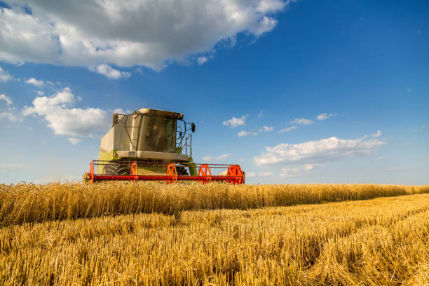 istock Combine harvester in action on wheat field. 640244338