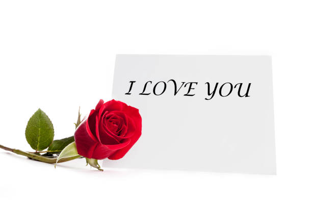 Red rose with I Love You card