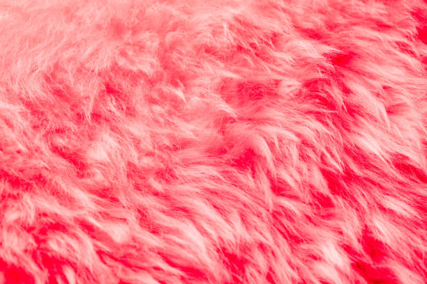 istock natural pink fur background 640246880