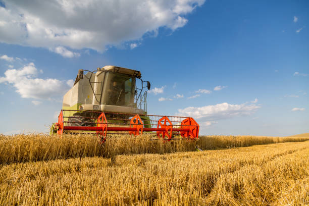istock Combine harvester in action on wheat field. 640251978