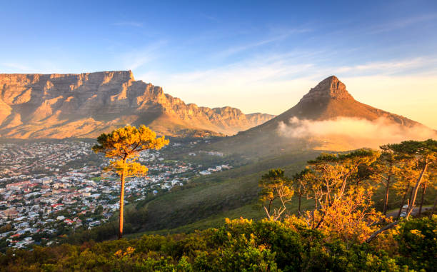 lions head mountain - cape town foto e immagini stock