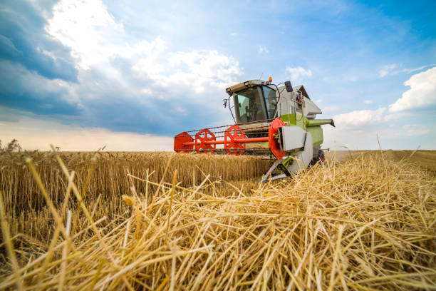istock Combine harvester in action on wheat field. 640252858
