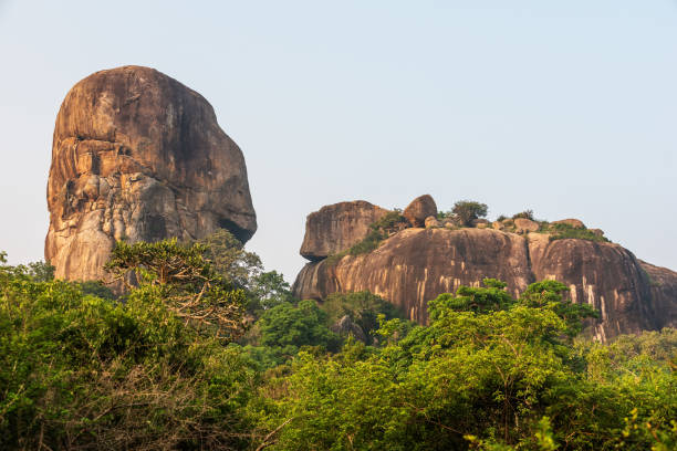 istock Sri Lanka: landscape in Yala National Park 640258040