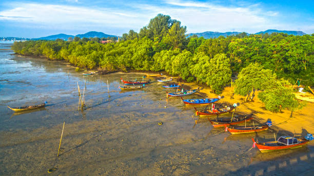 istock Palai pier close to Chalong pier 640259846