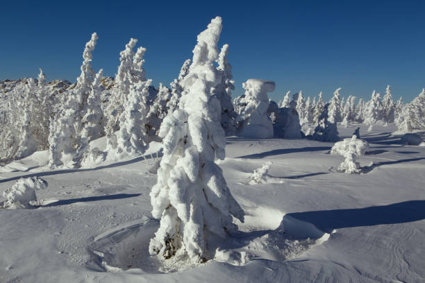 istock Snowy winter landscape in the mountains. 640259986