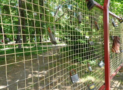 Love locks on a fence in the middle of the park