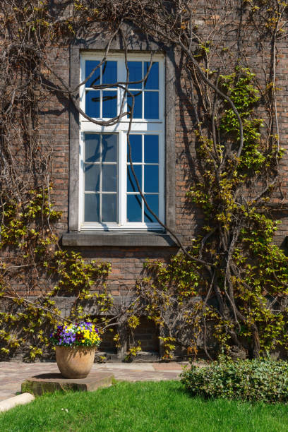 istock Old stile retro vintage window. 640262320