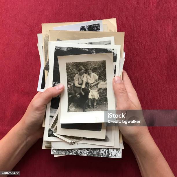 Hands Holding Stack Of Old Photographs Stock Photo - Download Image Now - Family Tree, Old Photograph, Holding