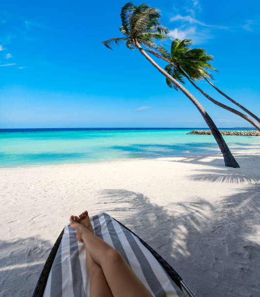 istock Woman on sunbed under palm tree at tropical island 640263644