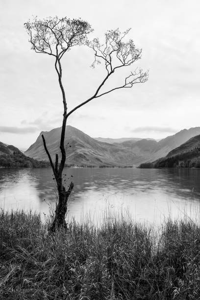 istock Beautiful Autumn Fall black and white landscape image 640265626