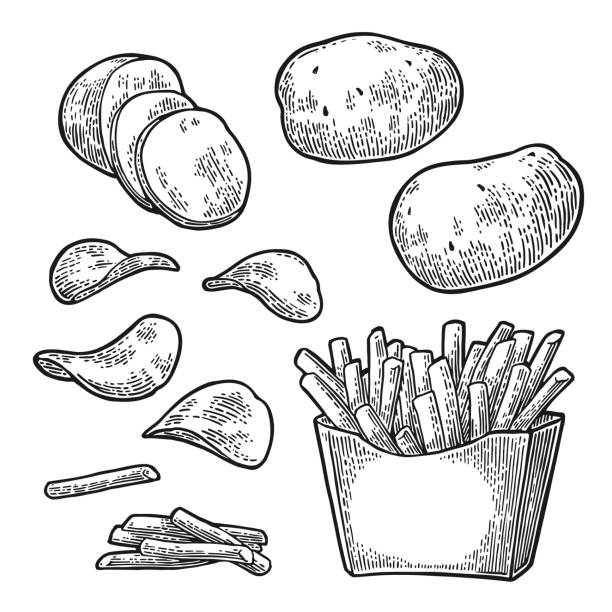 ilustrações de stock, clip art, desenhos animados e ícones de french fry stick potato in paper box and chips. - white background clip art american culture black