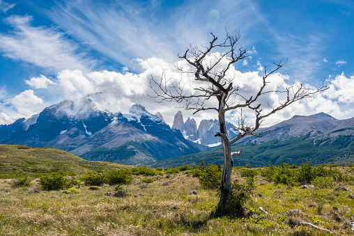 Amazing Torres del Paine National Park, Patagonia, Chile