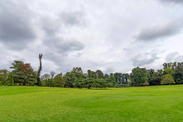 istock Royal Gardens of Peradenia 640273036