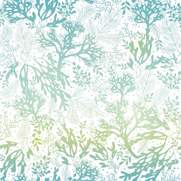 illustrations, cliparts, dessins animés et icônes de vector blue freen seaweed texture fond de motif transparent. idéal pour - algae