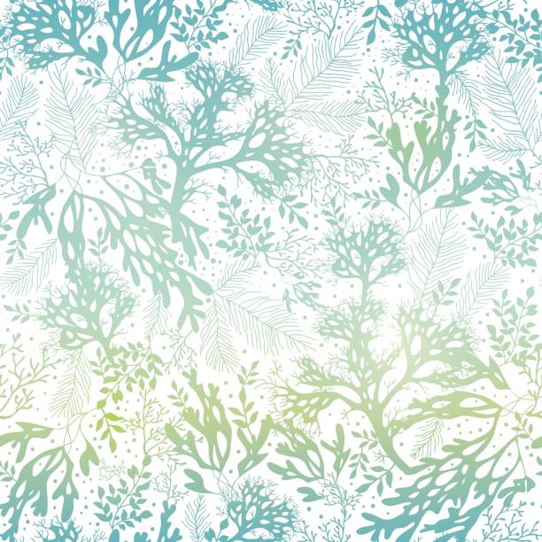 ilustrações de stock, clip art, desenhos animados e ícones de vector blue freen seaweed texture seamless pattern background. great for - algae