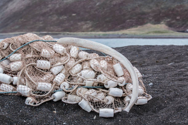istock fishing net svlen in a heap on the Black shore 640274776
