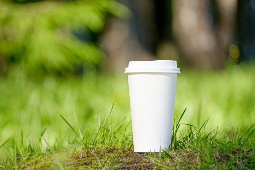 Paper cup of coffee on the green grass in summer sunlight park