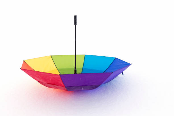 istock Multi-Color Umbrella in Snow 640276896