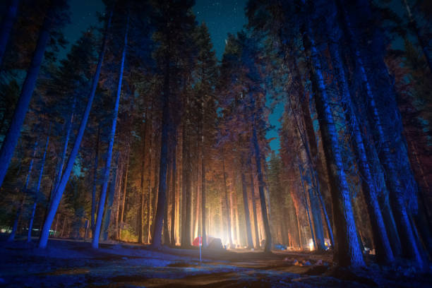 istock Yosemite National park 640277156