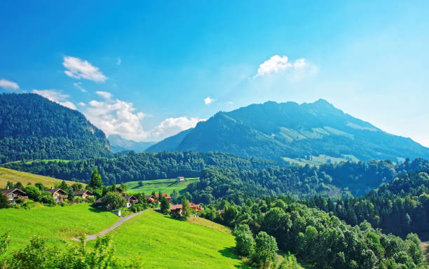 chalets auf den voralpen im bezirk gruyere in freiburg schweiz - gruyeres stock-fotos und bilder