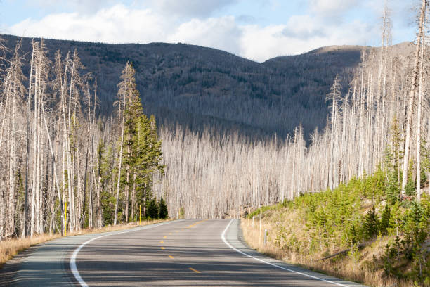 istock Wyoming Landscape 640282026