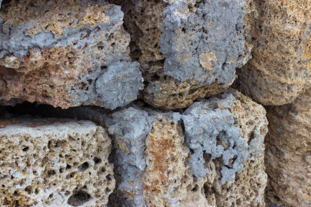 istock texture Rakushnjak or coquina 640283954