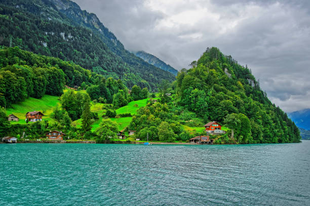 panorama del lago brienz y de la montaña de brienzer rothorn suizo de berna - swiss culture chalet brienz european alps fotografías e imágenes de stock