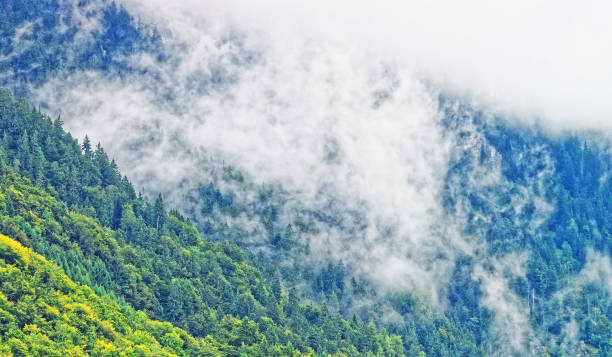 panorama sobre brienzer rothorn mountain brienz em berna na suíça - oberhasli - fotografias e filmes do acervo