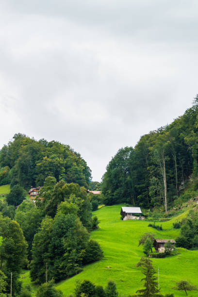 chalés da aldeia brienz e da montanha brienzer rothorn berna suíça - oberhasli - fotografias e filmes do acervo