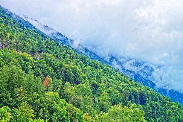 panorama with brienzer rothorn mountain brienz à berne en switzerland - helvetic photos et images de collection