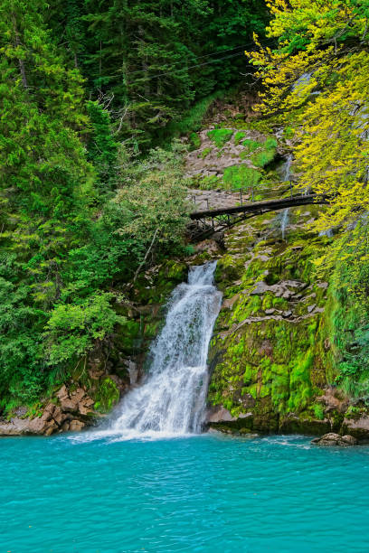 ブリエンツ湖ブリエンツァーロートーン山ベルンスイスのギースバッハ滝 - oberhasli ストックフォトと画像