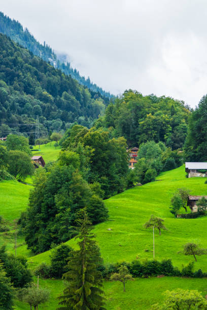 ブリエンツ村とブリエンツァー・ロートーン山ベルン・スイスのシャレー - oberhasli ストックフォトと画像