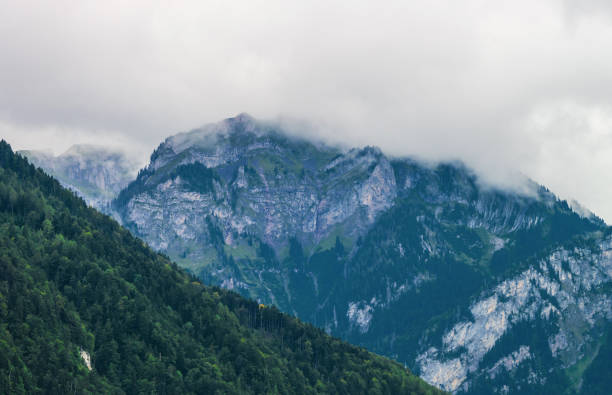 スイスのベルンのブリエンツァーロートーン山ブリエンツのパノラマ - oberhasli ストックフォトと画像