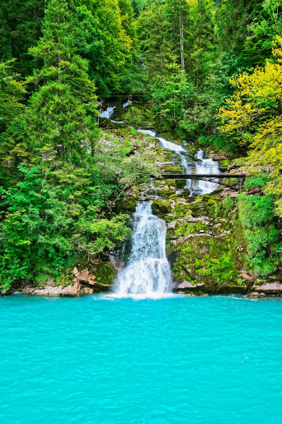 cachoeira giessbach no lago brienz brienzer rothorn montanha berna suíça - oberhasli - fotografias e filmes do acervo