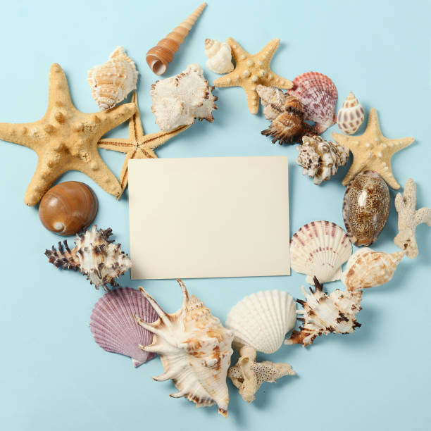istock Frame of Plenty different seashells on a blue background. Seaside 640286950