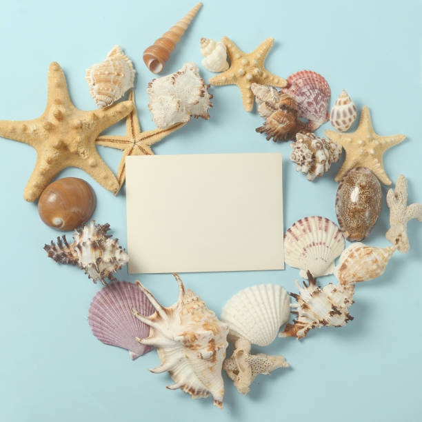 istock Frame of Plenty different seashells on a blue background. Seaside 640287014