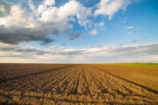 istock Agricultural landscape, arable crop field. 640287116