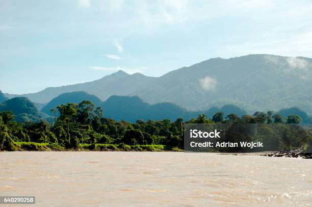 Melinau Paku River Mulu National Park Borneo Stock Photo - Download Image Now - Asia, Backgrounds, Forest