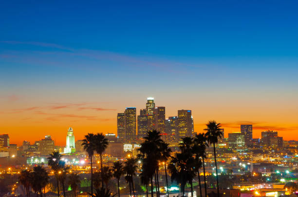 istock Los Angeles Downtown Sunset with Palm Tree Silhouettes, Wide Angle 640290260
