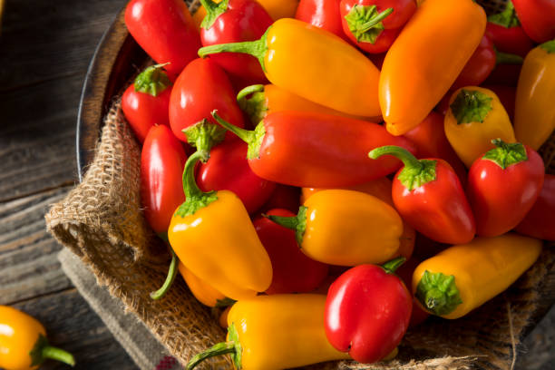 mini pimientos dulces orgánicos crudos - pepper fotografías e imágenes de stock