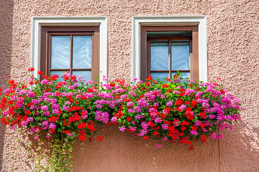 Schwarzwald Germany windows of the house with flowers.