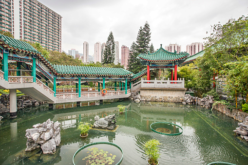 Small pond in God Wish Garden among Skyscrapers of the City in Wong Tai Sin Temple in Kowloon in Hong Kong