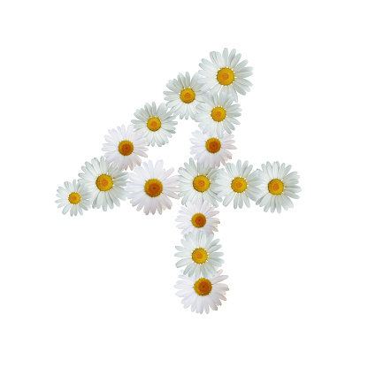 Daisy Number