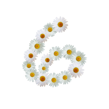 Daisy Number