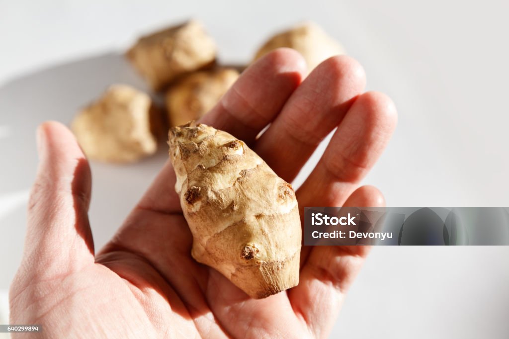 Jerusalem artichoke Jerusalem artichoke with white background, close up Artichoke Stock Photo