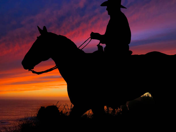 istock Horse Silhouette Sunset 640300236