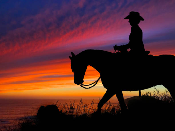 istock Horse Silhouette Sunset 640300254