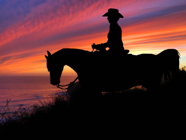 istock Horse Silhouette Sunset 640300268