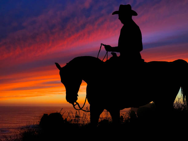 istock Horse Silhouette Sunset 640300286