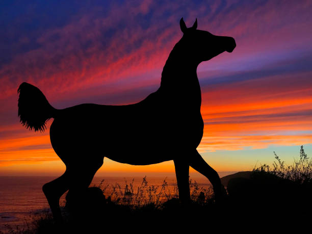 istock Horse Silhouette Sunset 640300384